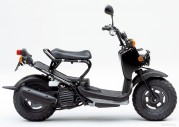 Honda Zoomer Honda Zoomer